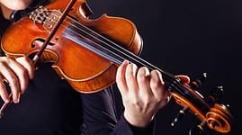 violin instrument