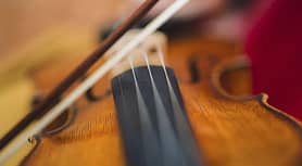 violin instrument