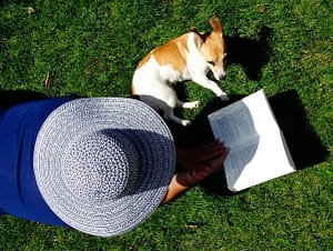 dog park