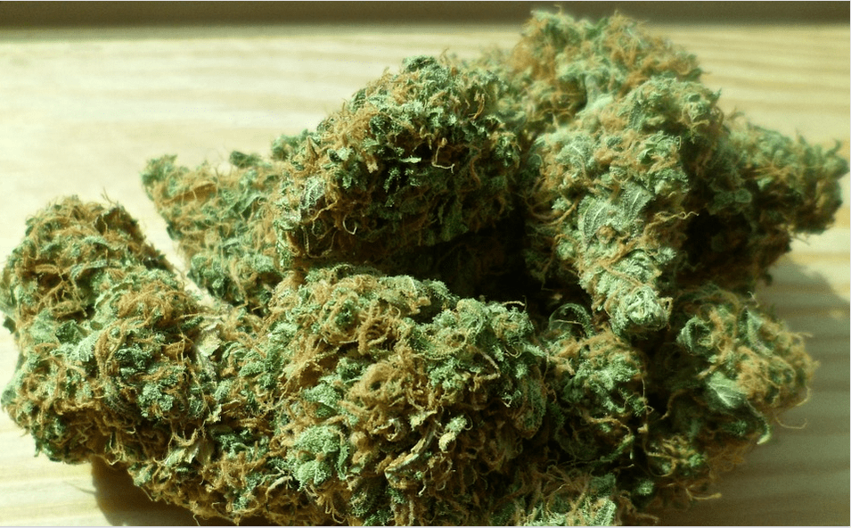 Various Ways of Consuming Weed